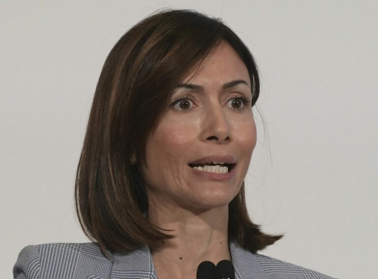 Centrodestra, Carfagna: “L’alleanza regge se c’è una linea comune”