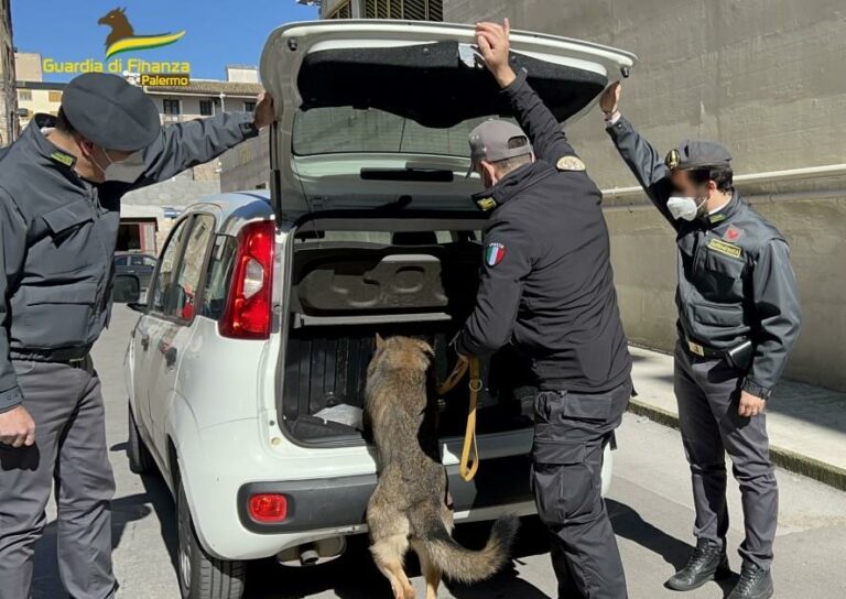 Palermo, cane antidroga trova 5,8 kg di cocaina in un’auto: due arresti CLICCA PER IL VIDEO