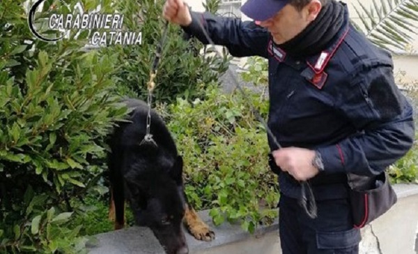 Catania, 1,3 chili di marijuana in casa: arrestato 22enne