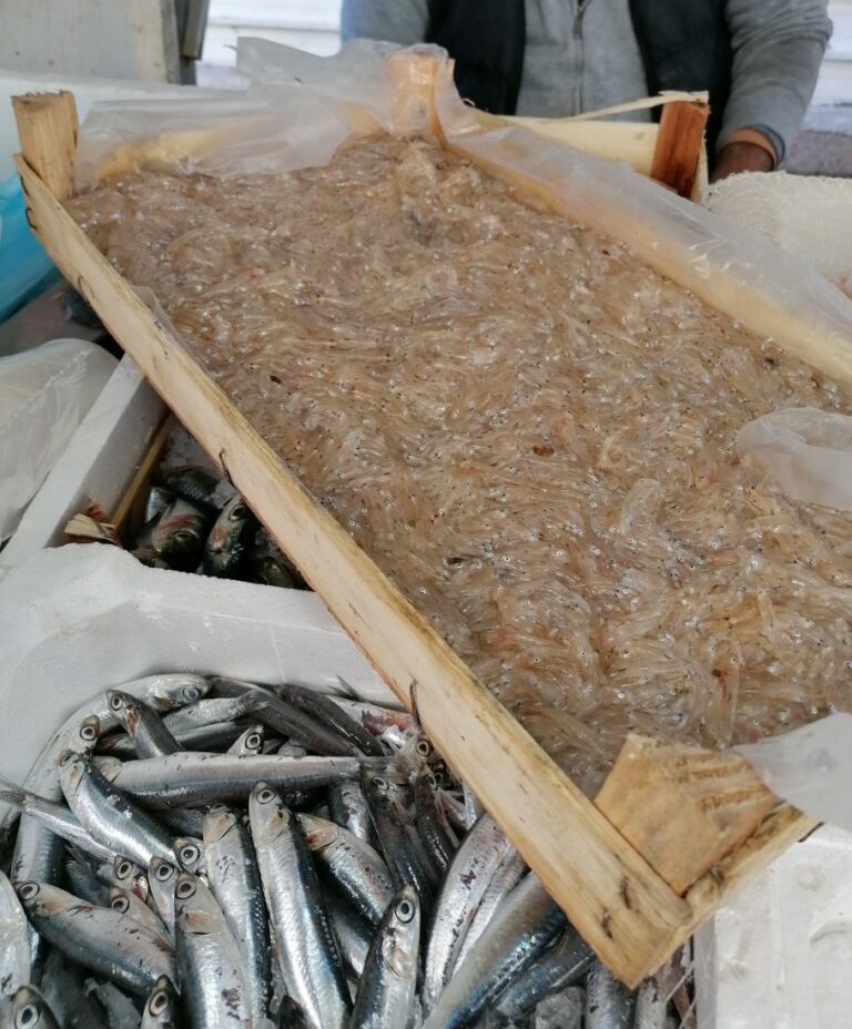 Sequestrati 1.800 chili di prodotti ittici, l’operazione della Guardia Costiera nella Sicilia Occidentale CLICCA PER LE FOTO