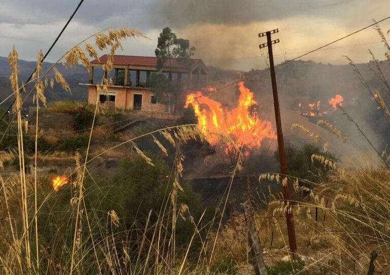 Emergenza incendi, Patrimonio Sicilia presenta un esposto in Procura