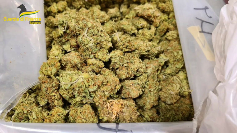 GdF arresta un “corriere” con 82 chili di droga (VIDEO)