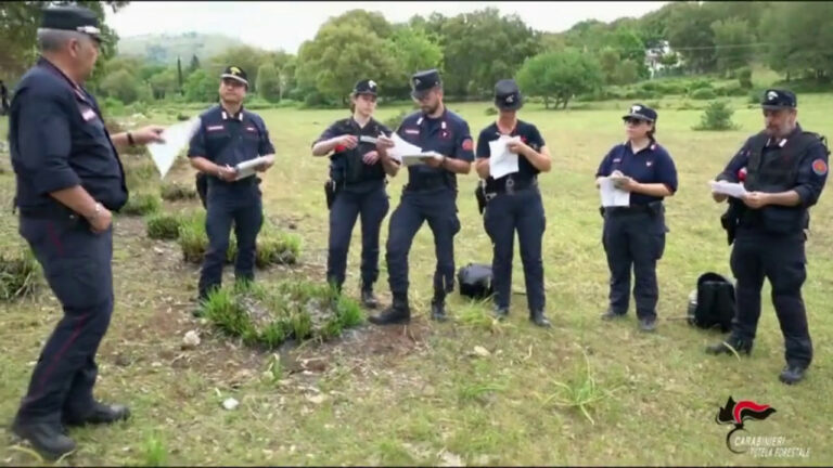 Stretta sui piromani: 3 arresti nel Lazio (VIDEO)