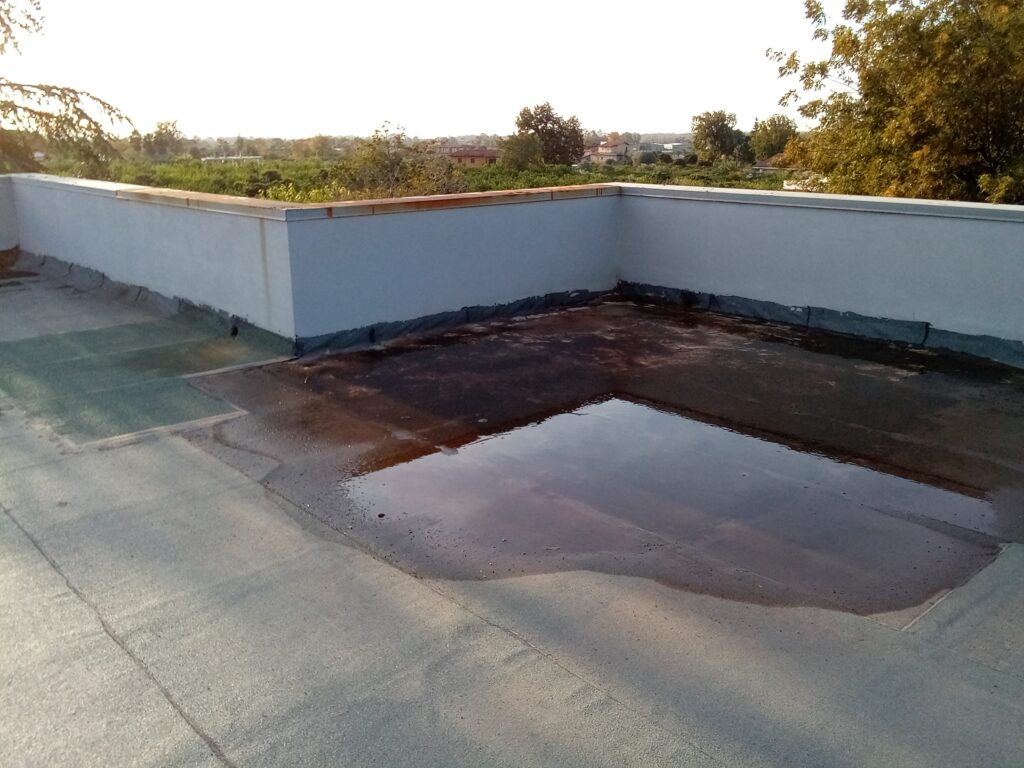 IMG 20221205 081831 997