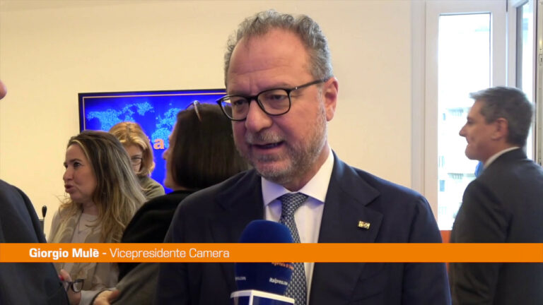 Mulè: “Dopo manovra riforma su Welfare” (VIDEO)