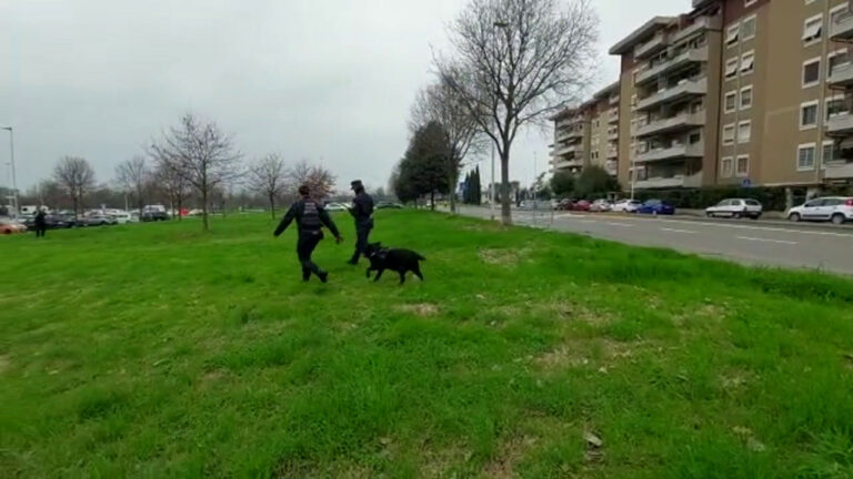 Cani avvelenati, inchiesta dei Carabinieri (VIDEO)
