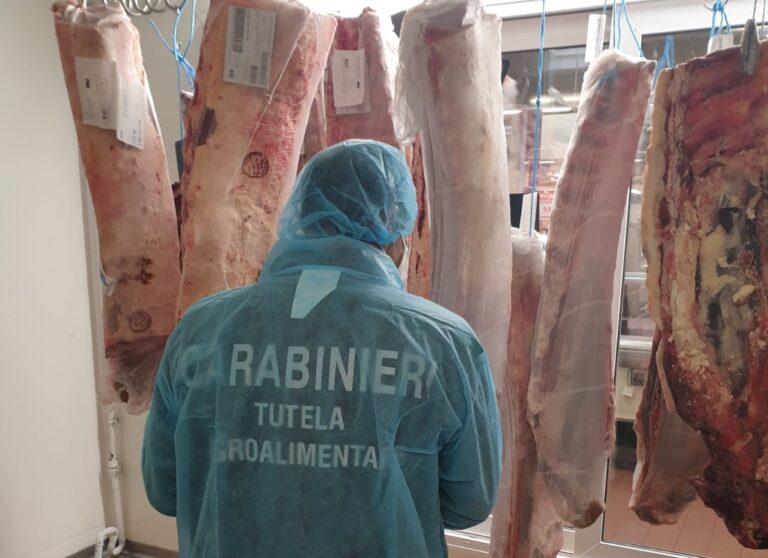 Filiera agroalimentare: Carabinieri di Taormina sequestrano 20 kg di carne Filiera agroalimentare: Carabinieri di Taormina sequestrano 20 kg di carne