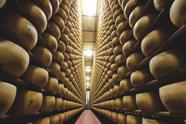 Parmigiano Reggiano protagonista con progetto Premium “40 mesi”