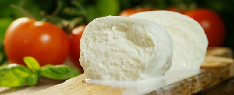Mozzarella di Bufala Campana Dop, crescono produzione ed export Mozzarella di Bufala Campana Dop, crescono produzione ed export