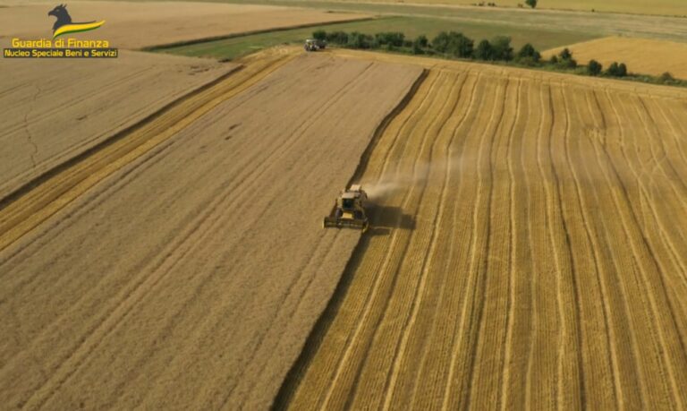 Pirateria agroalimentare, sequestrate 382 tonnellate di cereali tra Sicilia e Puglia Pirateria agroalimentare, sequestrate 382 tonnellate di cereali tra Sicilia e Puglia