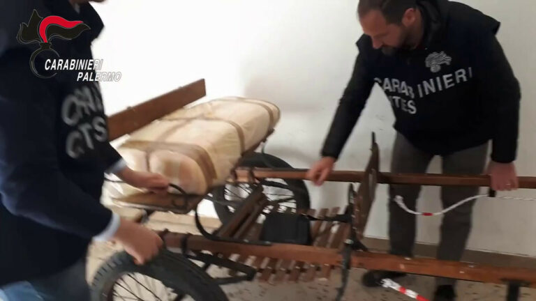 Corse di cavalli clandestine a Palermo, denunciato 28enne Corse di cavalli clandestine a Palermo, denunciato 28enne