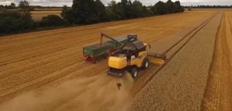 Il grano ucraino ora è un problema per l’Europa Il grano ucraino ora è un problema per l’Europa