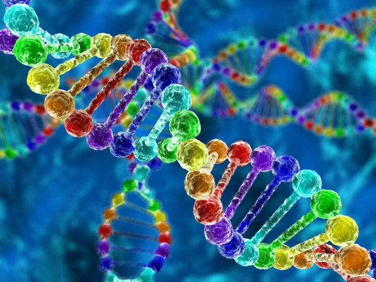 Nuove prospettive per la correzione genetica nella sindrome ICF