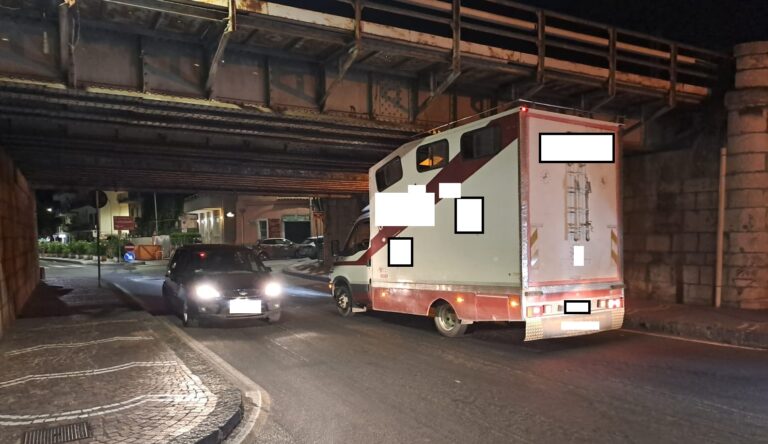 Camion con animali non passa il ponte: viabilità in tilt a Mazzeo