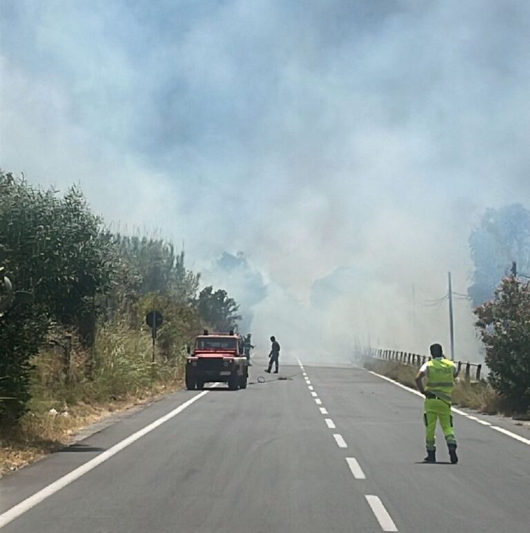 Incendio nell’ex campo da golf a Trappitello (VIDEO)