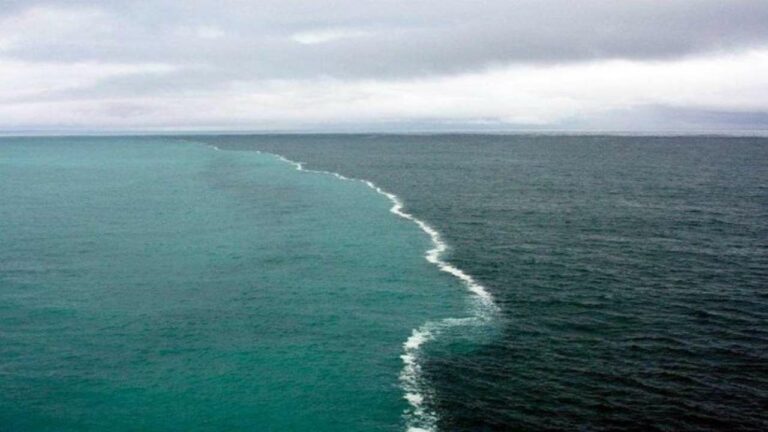 Un uomo e il suo cane alla deriva nell’oceano per due mesi