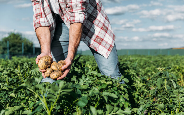 Bracciante agricolo muore per un malore legato al caldo Bracciante agricolo muore per un malore legato al caldo