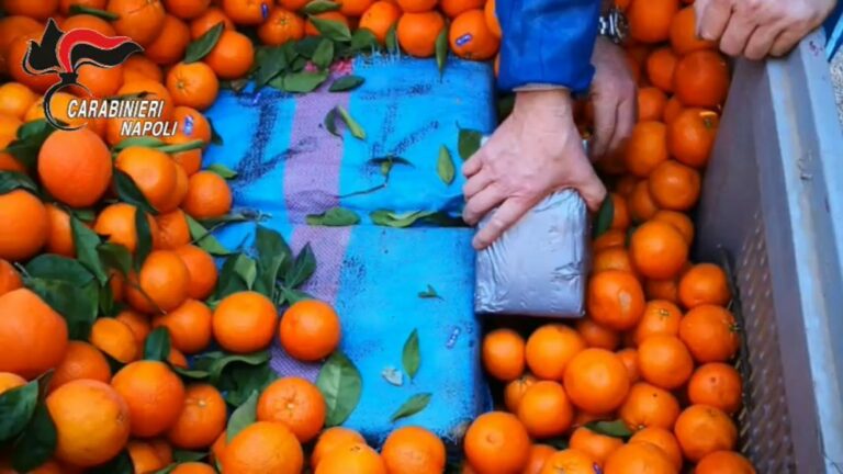 Tonnellate di droga tra la frutta: 7 misure cautelari Tonnellate di droga tra la frutta: 7 misure cautelari