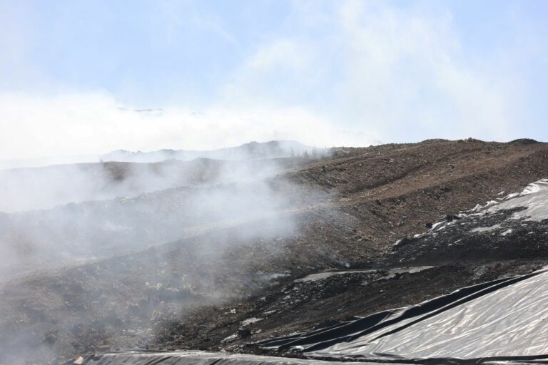 Ordinanza anti diossina: a Palermo niente carne e uova