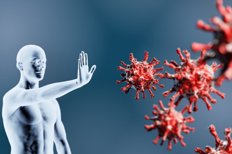 Sistema immunitario: scoperto un meccanismo regolatore in patologie come le leucemie