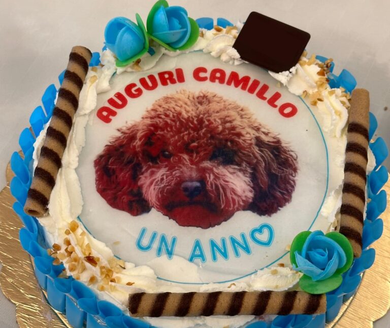 Dai falli di Taormina al “cane di me**a”: Duro colpisce ancora