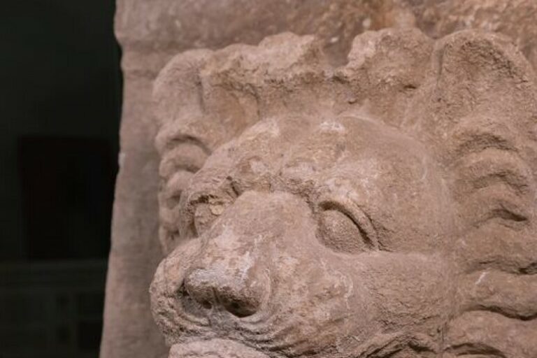 Trovata sima con testa di leone in scavi a Selinunte