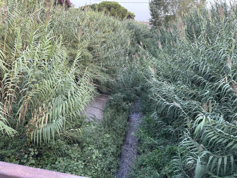 Focus torrenti: Santa Venera e Sirina “bombe” da disinnescare