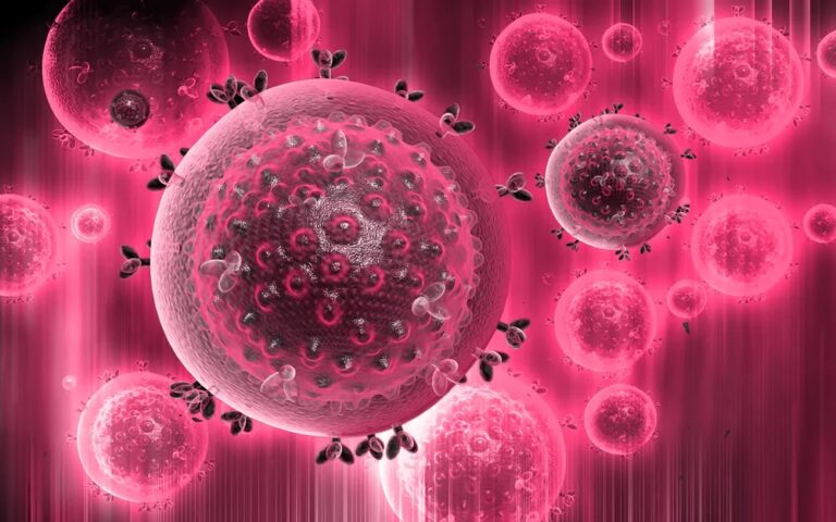 Pensionato ucciso nel Baltico da germi di virus killer