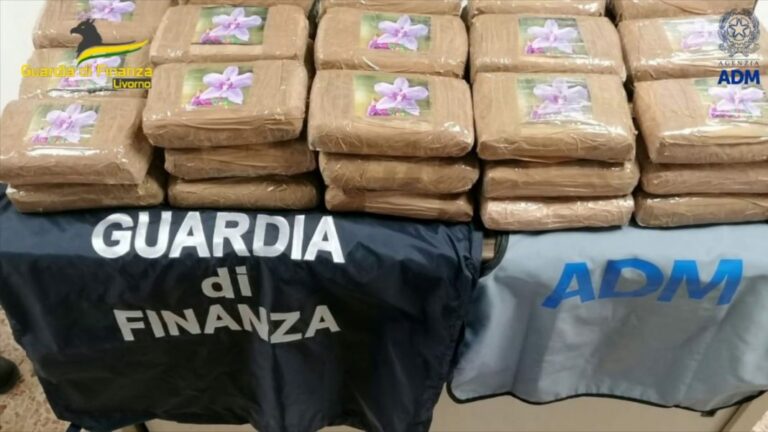 Sequestrati 48,5 kg di cocaina provenienti dal Sud-America