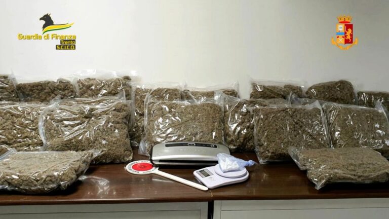 Gdf smantella traffico di droga, 46 misure cautelari