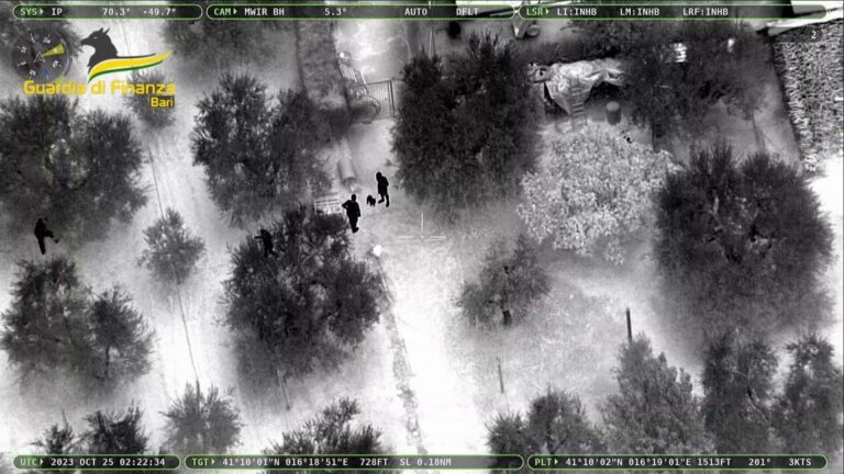 Traffico internazionale di droga, 15 arresti 