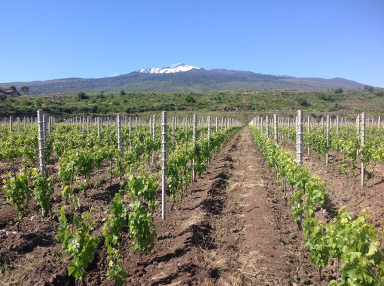 Vino Etna Doc verso il riconoscimento Docg