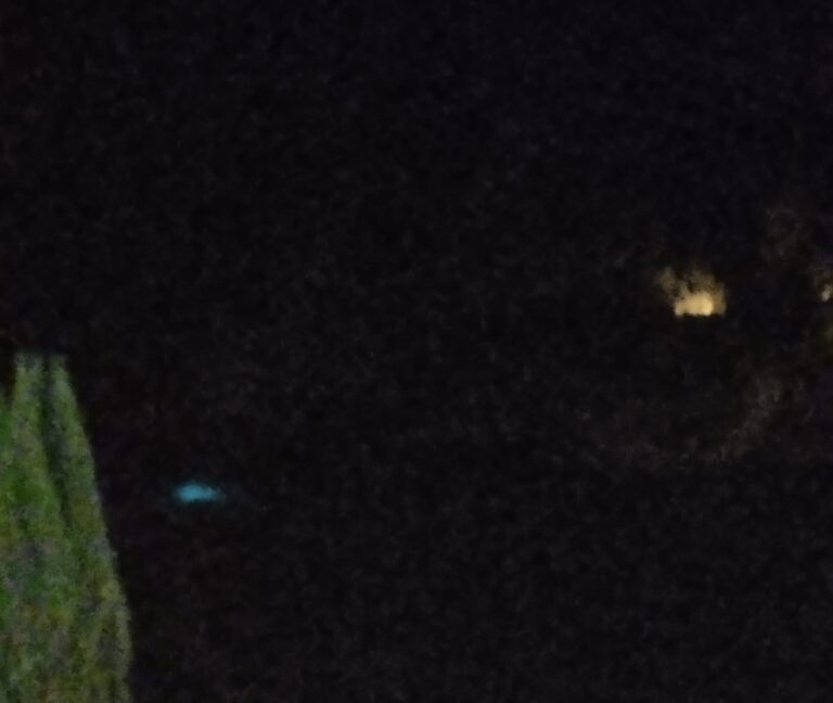 Giallo di notte a Isola Bella, Carnabuci: “Ogni sera quelle luci…”