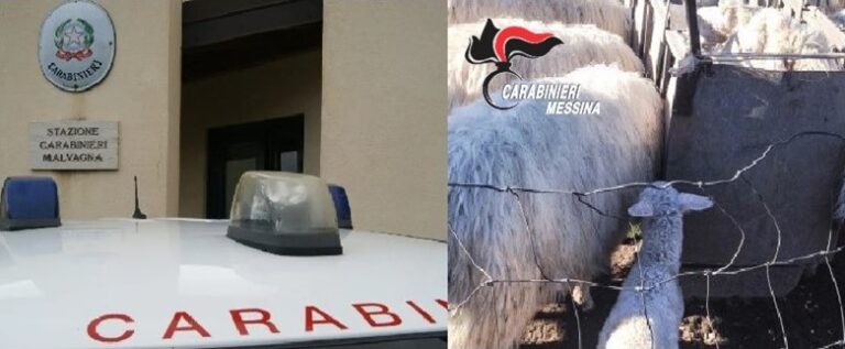 Sorpresi a rubare bestiame: Carabinieri di Taormina arrestano 4 persone