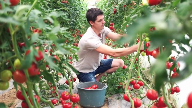 Agroalimentare, costi nascosti valgono il 10% del Pil mondiale