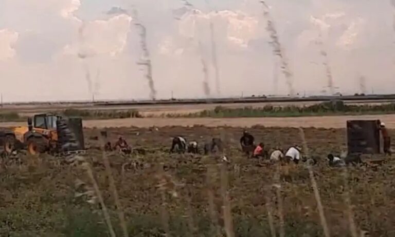 Sfruttamento del lavoro e caporalato in Sicilia, 16 indagati