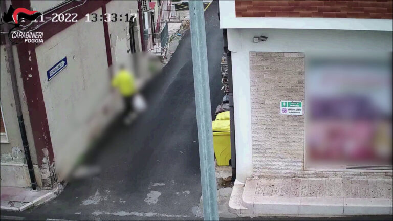 Traffico di droga, 13 arresti