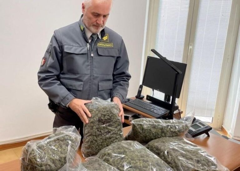 GdF sequestra 250 chili di droga, un denunciato