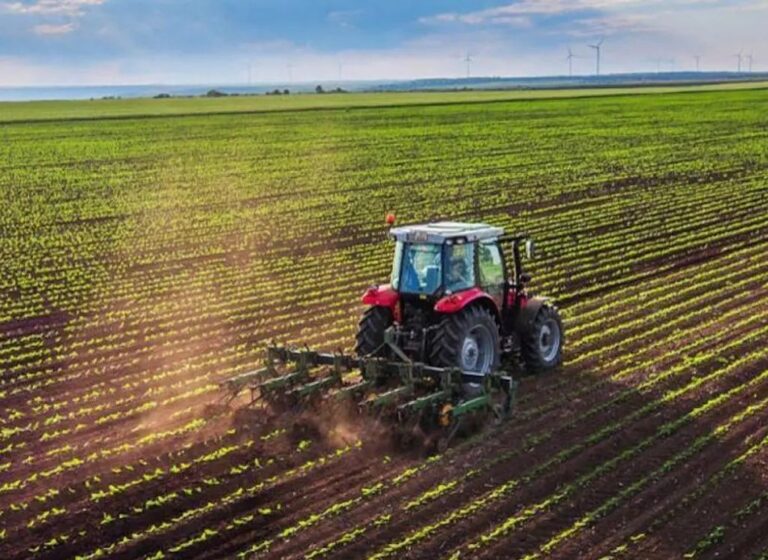 Produttività, reddito e sostenibilità, agricoltori sollecitano Bruxelles