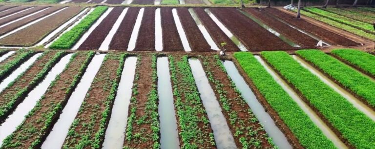 Ambiente, nuovi dazi per le imprese che inquinano di più