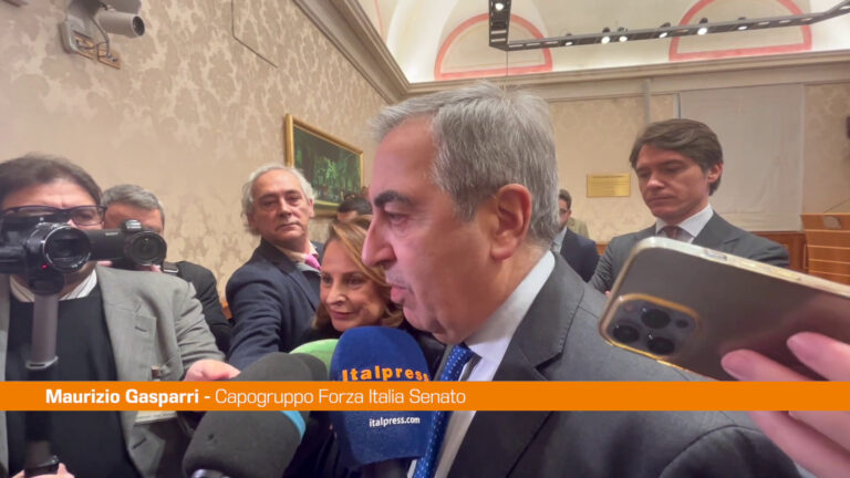 FI, Gasparri: “Si apre stagione congressuale importante”