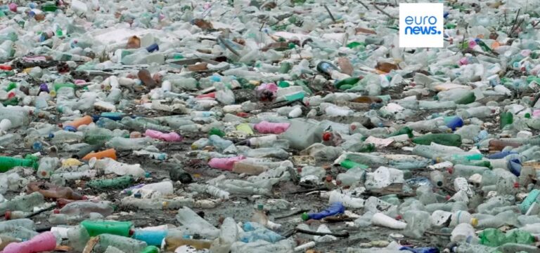Bosnia: nel fiume Drina una discarica galleggiante