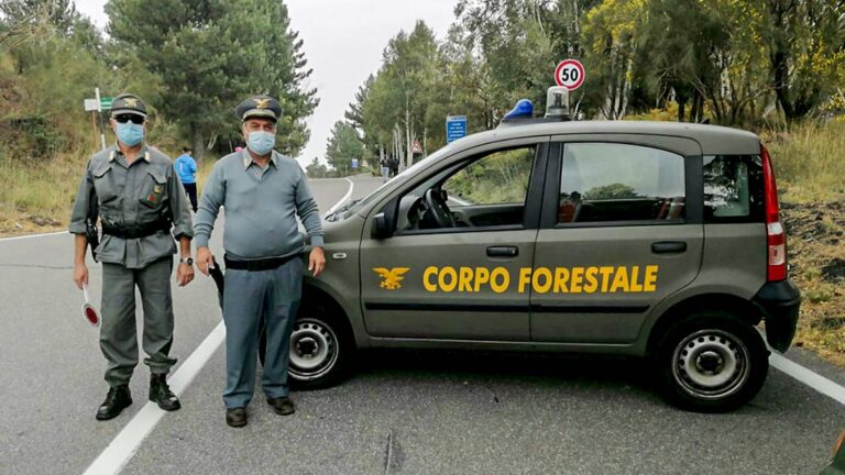 Forestali, Regione firma convenzione per la formazione continua