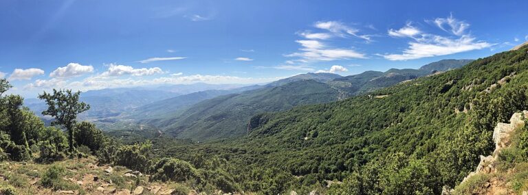 Aree montane, 19 milioni per la Sicilia Aree montane, 19 milioni per la Sicilia