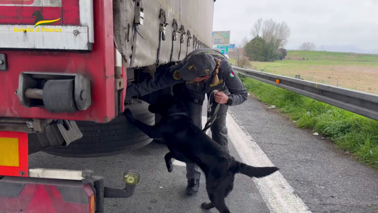 Droga da Spagna e Marocco, smantellata organizzazione