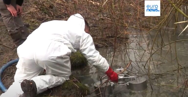 Reati ambientali, la svolta dell’Unione Europea