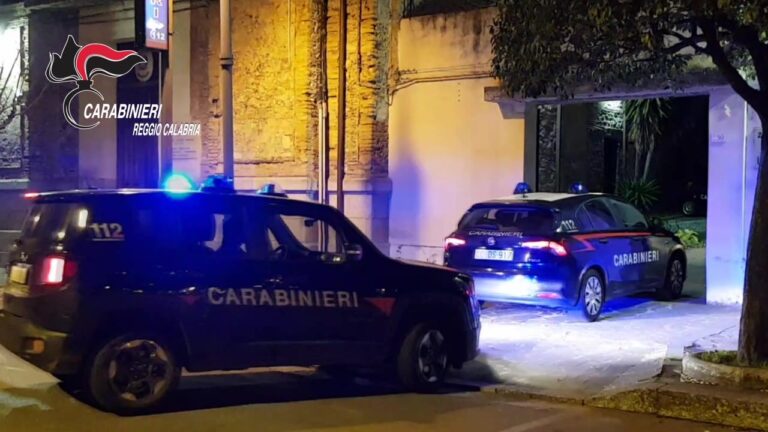 Operazione antidroga nella piana di Gioia Tauro, arresti e sequestri