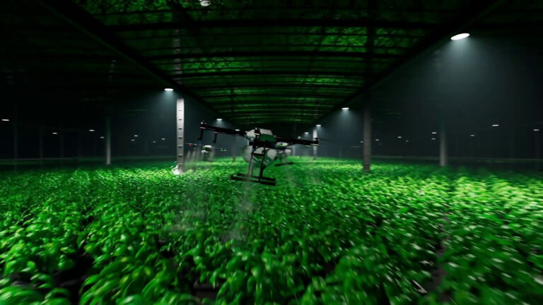 L’intelligenza artificiale si fa strada nell’industria alimentare