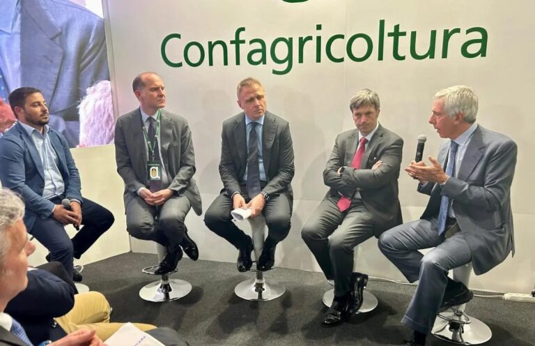 Filiera del pomodoro da industria, il nuovo progetto di Mediterranea