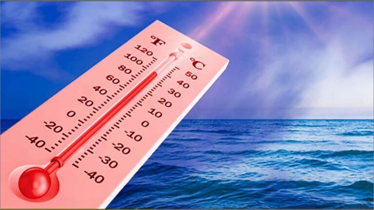La crisi climatica rischia di diventare anche economica